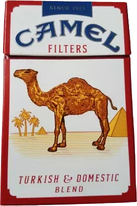 Camel Filter Red Box Cig