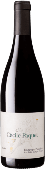 Cecile Paquet Bourgogne Pinot Noir 750ml